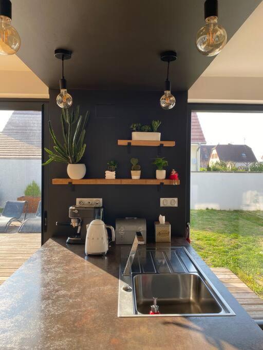Maison D'Architecte Situee Sur La Route Des Vins Châtenois Εξωτερικό φωτογραφία